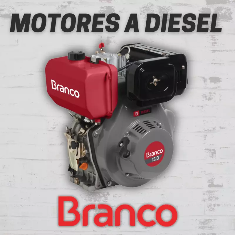 MOTORES A DIESEL BRANCO REFRIGERADOS A AR MOTORES A DIESEL BRANCO REFRIGERADOS A AR